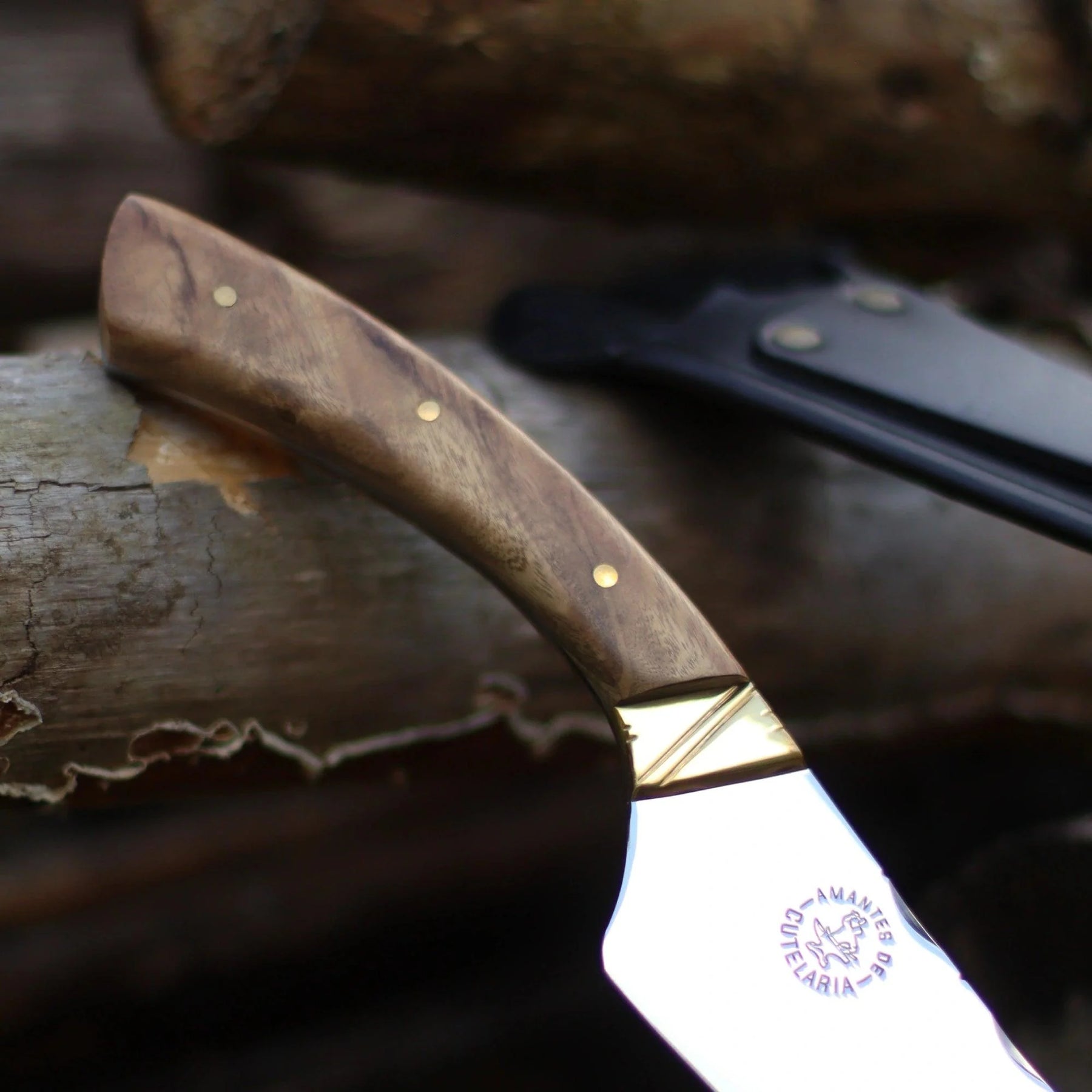 Faca Churrasco Artesanal Personalizada BBQ Turca | Aço Inox 10"