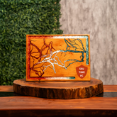 Thunder - TIMES - ESCOLHA O SEU